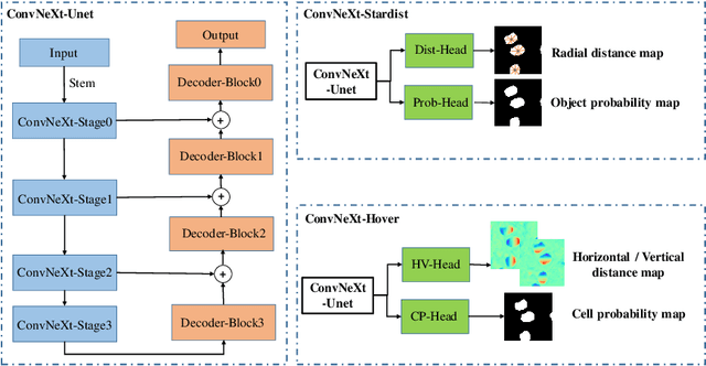 Figure 3 for Multi-stream Cell Segmentation with Low-level Cues for Multi-modality Images