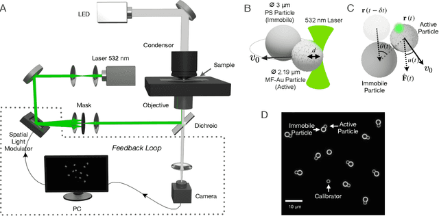 Figure 1 for Harnessing Synthetic Active Particles for Physical Reservoir Computing