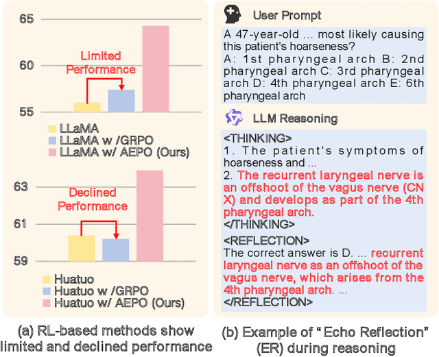 Figure 1 for What Makes Reasoning Invalid: Echo Reflection Mitigation for Large Language Models