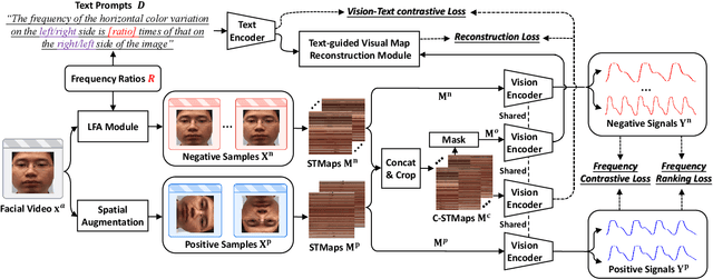 Figure 3 for Bootstrapping Vision-language Models for Self-supervised Remote Physiological Measurement