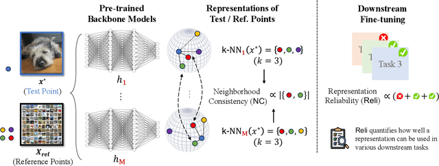 Figure 1 for Representation Reliability and Its Impact on Downstream Tasks