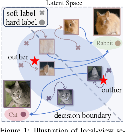 Figure 1 for Hard Labels In! Rethinking the Role of Hard Labels in Mitigating Local Semantic Drift