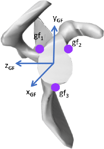 Figure 3 for Simulation Study of the Upper-limb Wrench Feasible Set with Glenohumeral Joint Constraints