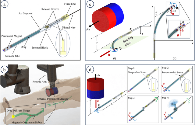 Figure 1 for Dual-Mode Magnetic Continuum Robot for Targeted Drug Delivery