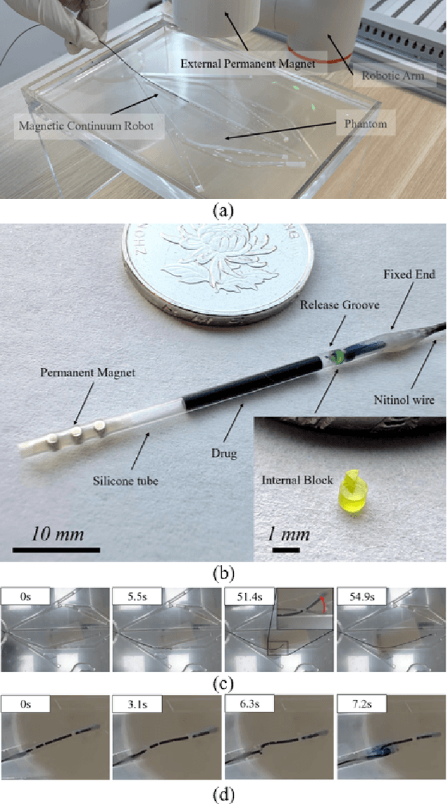 Figure 3 for Dual-Mode Magnetic Continuum Robot for Targeted Drug Delivery