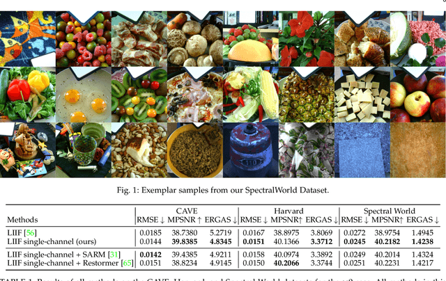 Figure 1 for Test-time Training for Hyperspectral Image Super-resolution