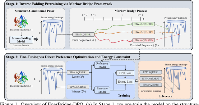 Figure 1 for EnerBridge-DPO: Energy-Guided Protein Inverse Folding with Markov Bridges and Direct Preference Optimization