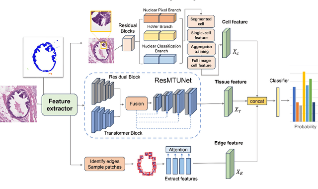 Figure 1 for FECT: Classification of Breast Cancer Pathological Images Based on Fusion Features