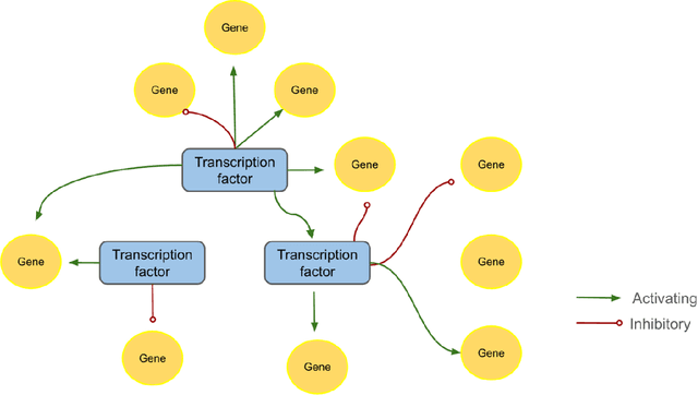 Figure 1 for Machine Learning Methods for Gene Regulatory Network Inference