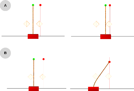 Figure 3 for Learning control strategy in soft robotics through a set of configuration spaces