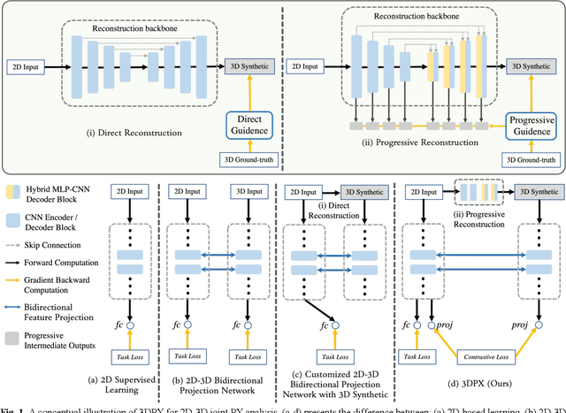 Figure 1 for 3DPX: Single Panoramic X-ray Analysis Guided by 3D Oral Structure Reconstruction