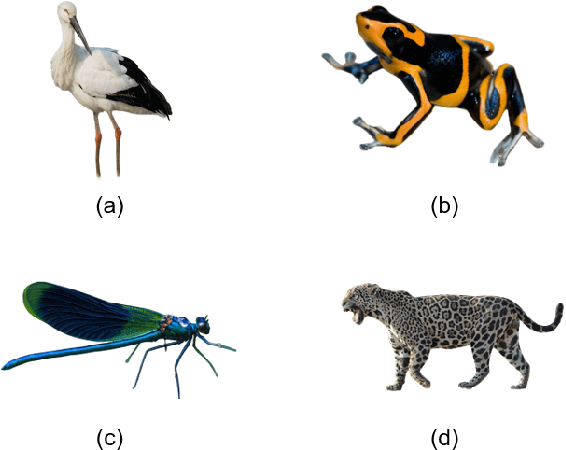 Figure 2 for SyncDreamer for 3D Reconstruction of Endangered Animal Species with NeRF and NeuS