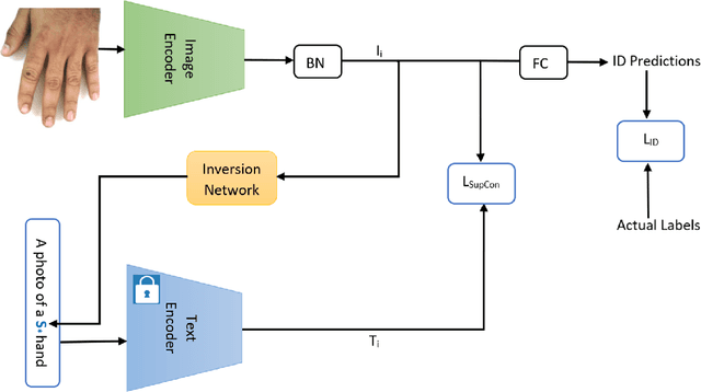 Figure 1 for CLIP-HandID: Vision-Language Model for Hand-Based Person Identification