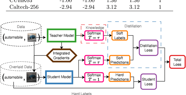 Figure 4 for Model compression using knowledge distillation with integrated gradients