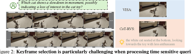 Figure 3 for ThinkVideo: High-Quality Reasoning Video Segmentation with Chain of Thoughts