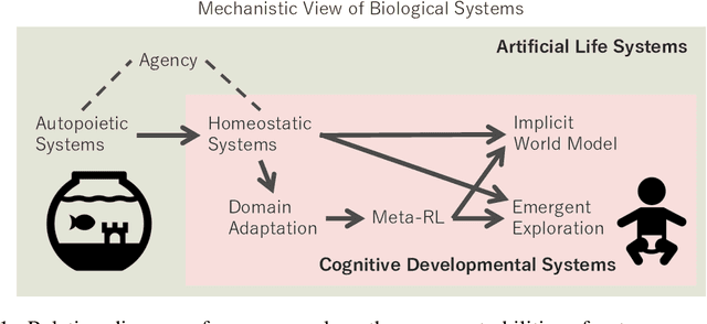 Figure 1 for Emergence of Implicit World Models from Mortal Agents