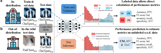 Figure 1 for Label-free estimation of clinically relevant performance metrics under distribution shifts