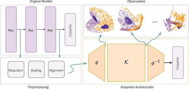 Figure 3 for Koopman Autoencoders Learn Neural Representation Dynamics