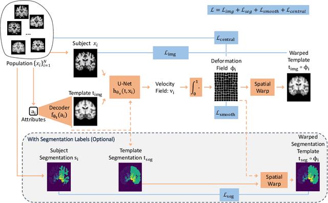 Figure 2 for AtlasMorph: Learning conditional deformable templates for brain MRI