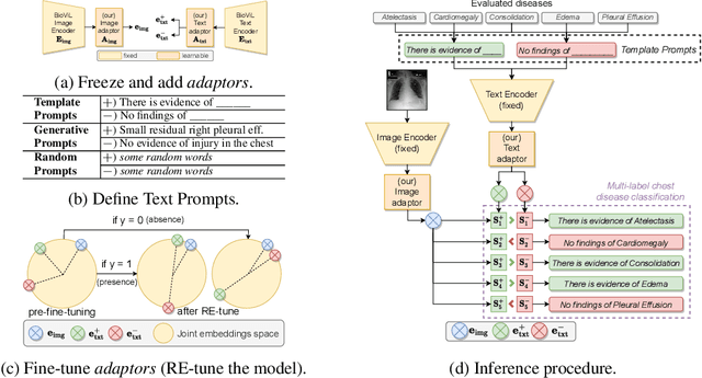 Figure 1 for RE-tune: Incremental Fine Tuning of Biomedical Vision-Language Models for Multi-label Chest X-ray Classification