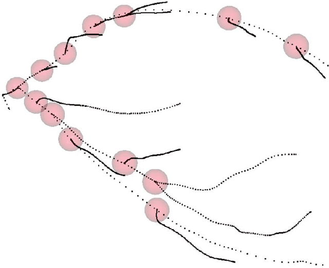 Figure 1 for Time-Varying Coronary Artery Deformation: A Dynamic Skinning Framework for Surgical Training