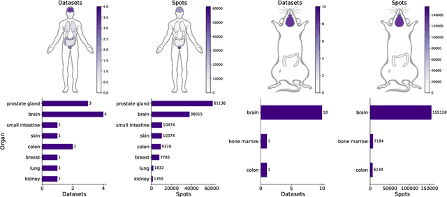 Figure 3 for Completing Spatial Transcriptomics Data for Gene Expression Prediction Benchmarking