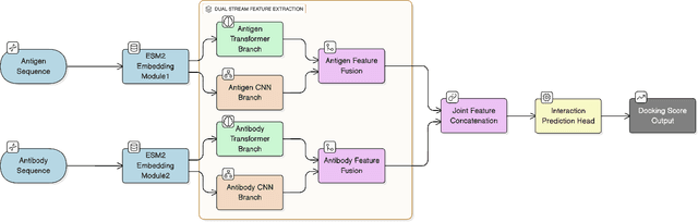 Figure 3 for DuaDeep-SeqAffinity: Dual-Stream Deep Learning Framework for Sequence-Only Antigen-Antibody Affinity Prediction