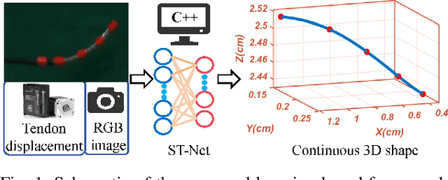 Figure 1 for Estimating Continuum Robot Shape under External Loading using Spatiotemporal Neural Networks