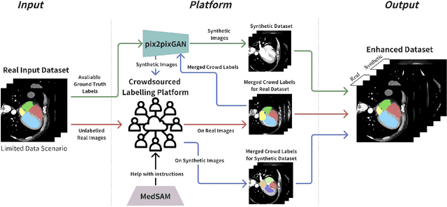 Figure 1 for Coupling AI and Citizen Science in Creation of Enhanced Training Dataset for Medical Image Segmentation