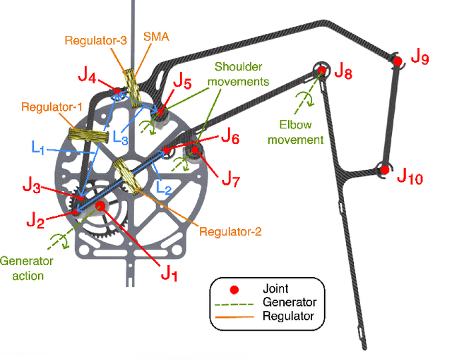Figure 2 for Banking Turn of High-DOF Dynamic Morphing Wing Flight by Shifting Structure Response Using Optimization