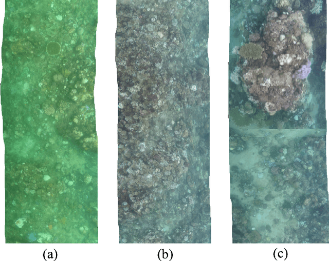 Figure 4 for CORSTITCH - A free, open source software for stitching and georeferencing underwater coral reef videos