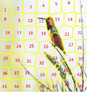 Figure 1 for A Novel Explainable Artificial Intelligence Model in Image Classification problem
