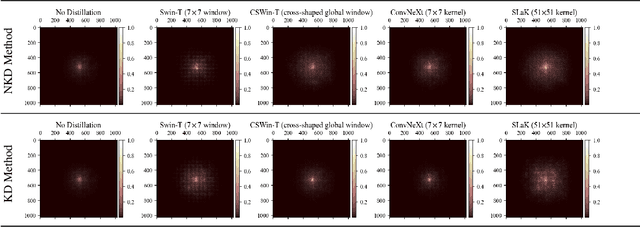 Figure 2 for Are Large Kernels Better Teachers than Transformers for ConvNets?