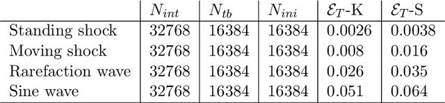 Figure 1 for Weak Physics Informed Neural Networks for Geometry Compatible Hyperbolic Conservation Laws on Manifolds