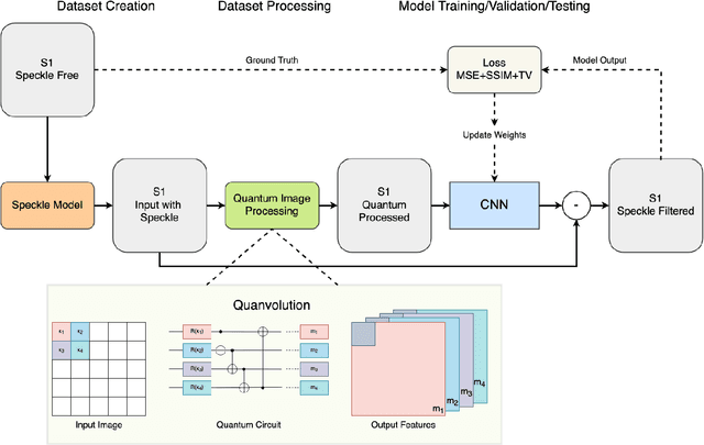 Figure 1 for QSpeckleFilter: a Quantum Machine Learning approach for SAR speckle filtering