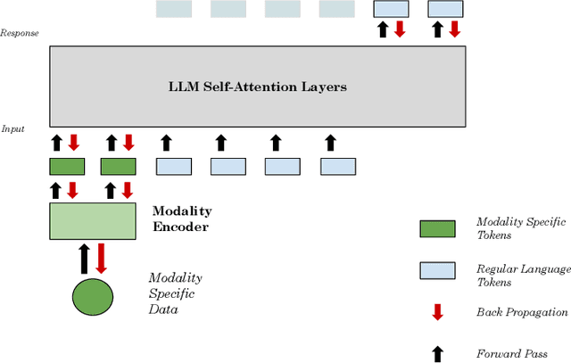 Figure 1 for Entity Embeddings : Perspectives Towards an Omni-Modality Era for Large Language Models