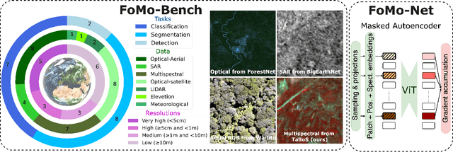 Figure 1 for FoMo-Bench: a multi-modal, multi-scale and multi-task Forest Monitoring Benchmark for remote sensing foundation models