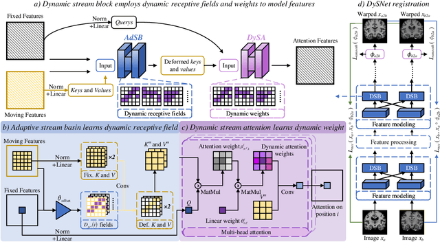 Figure 4 for Dynamic Stream Network for Combinatorial Explosion Problem in Deformable Medical Image Registration
