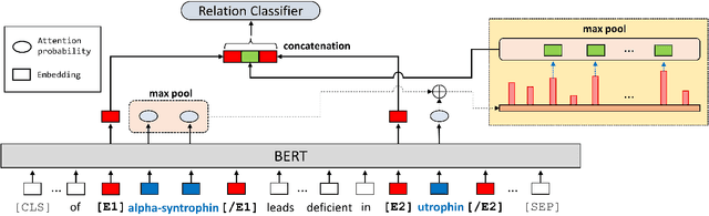 Figure 1 for Extracting Protein-Protein Interactions (PPIs) from Biomedical Literature using Attention-based Relational Context Information