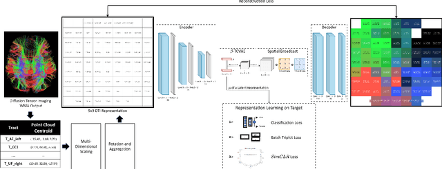 Figure 1 for An Interpretable Representation Learning Approach for Diffusion Tensor Imaging