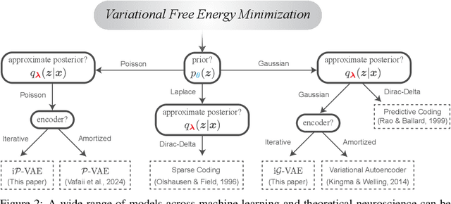 Figure 3 for A prescriptive theory for brain-like inference