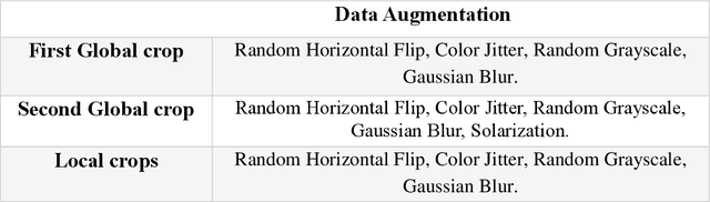 Figure 3 for Local-to-Global Self-Supervised Representation Learning for Diabetic Retinopathy Grading