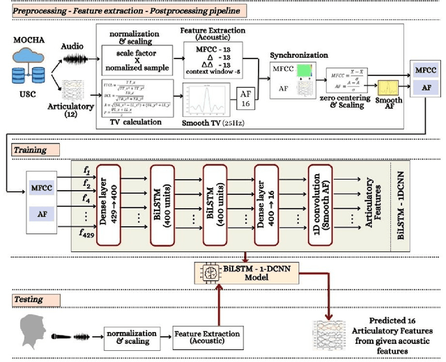 Figure 1 for Tracking Articulatory Dynamics in Speech with a Fixed-Weight BiLSTM-CNN Architecture
