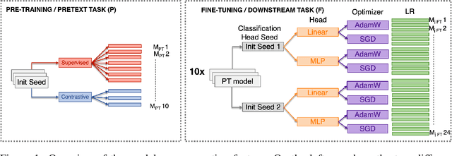 Figure 1 for A Model Zoo of Vision Transformers