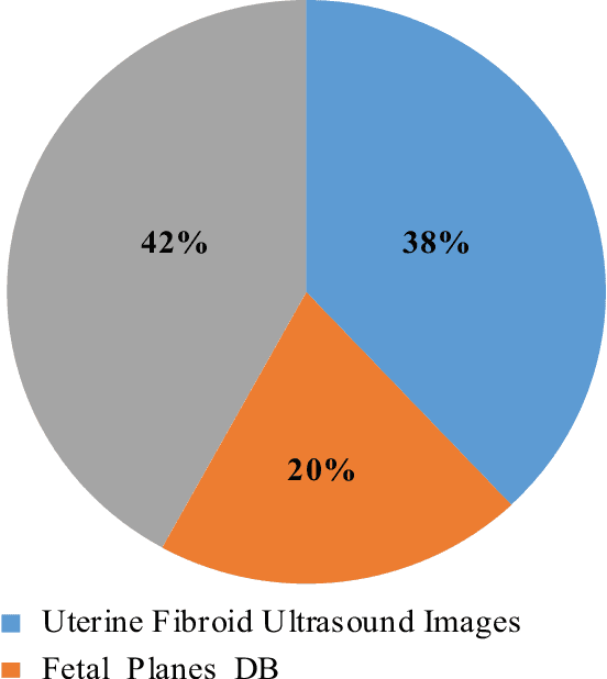 Figure 1 for Uterine Ultrasound Image Captioning Using Deep Learning Techniques