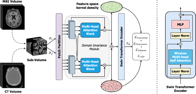 Figure 3 for Self-Supervised Modality-Agnostic Pre-Training of Swin Transformers