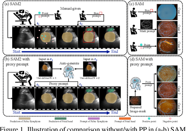 Figure 1 for Proxy Prompt: Endowing SAM and SAM 2 with Auto-Interactive-Prompt for Medical Segmentation