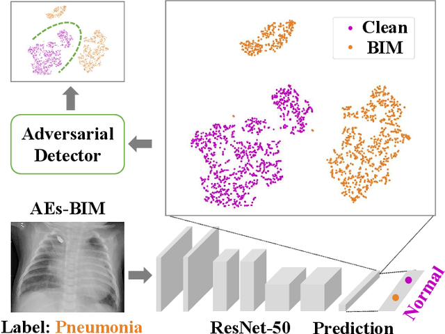 Figure 1 for Adversarial Medical Image with Hierarchical Feature Hiding