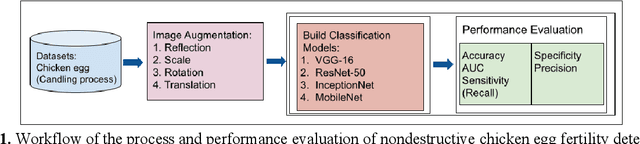 Figure 1 for Nondestructive chicken egg fertility detection using CNN-transfer learning algorithms