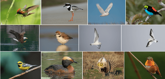 Figure 2 for AI-Enhanced Acoustic Analysis for Comprehensive Biodiversity Monitoring and Assessment